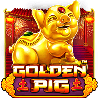 Golden Pig